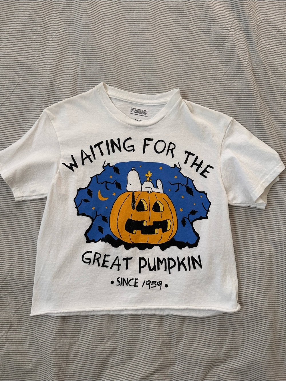 NEW Peanuts White Halloween Pumpkin Crop Top